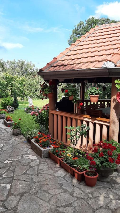 Apartmani "Dukic" Pelinovo Ngoại thất bức ảnh