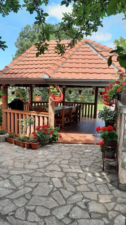 Apartmani "Dukic" Pelinovo Ngoại thất bức ảnh