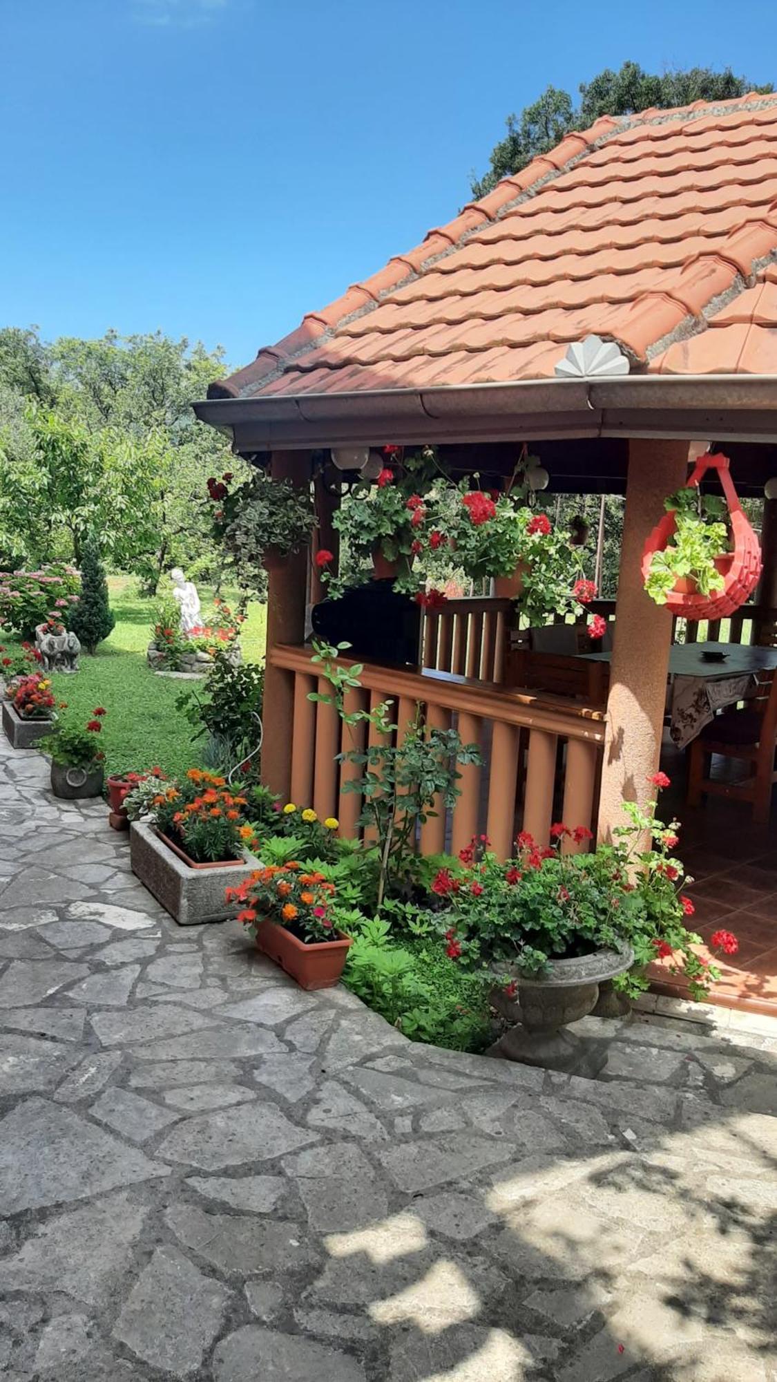 Apartmani "Dukic" Pelinovo Phòng bức ảnh