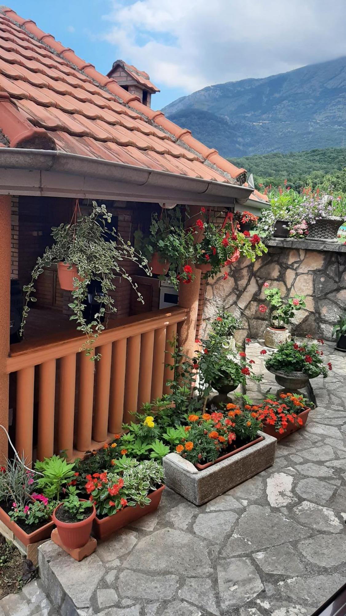 Apartmani "Dukic" Pelinovo Phòng bức ảnh