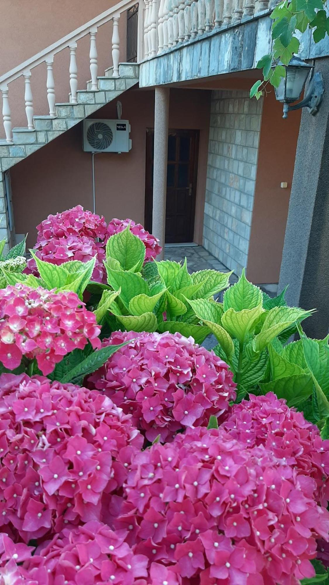 Apartmani "Dukic" Pelinovo Phòng bức ảnh