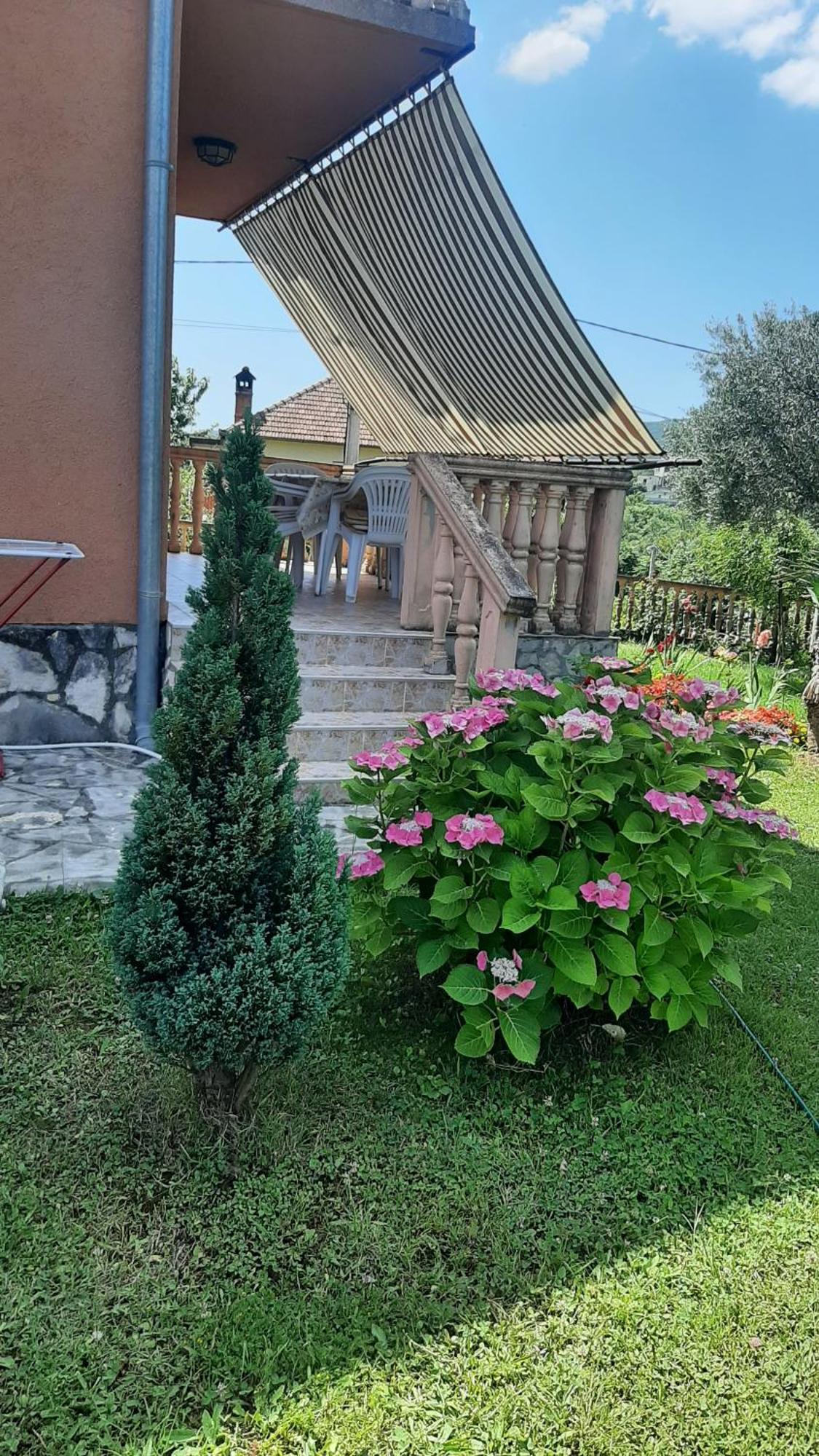Apartmani "Dukic" Pelinovo Phòng bức ảnh